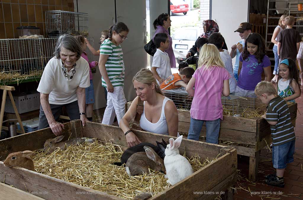 Waldbroel, Groesster, traditioneller Vieh und Krammmarkt Westdeutschlands, bestehend seid 1851, Markthalle mit Verkaufsboxen von Kaninchen und Hasen mit Publkum; biggest traditonally cattle market of west germany since 1851, market hall with boxes of bunnies and rabbits
