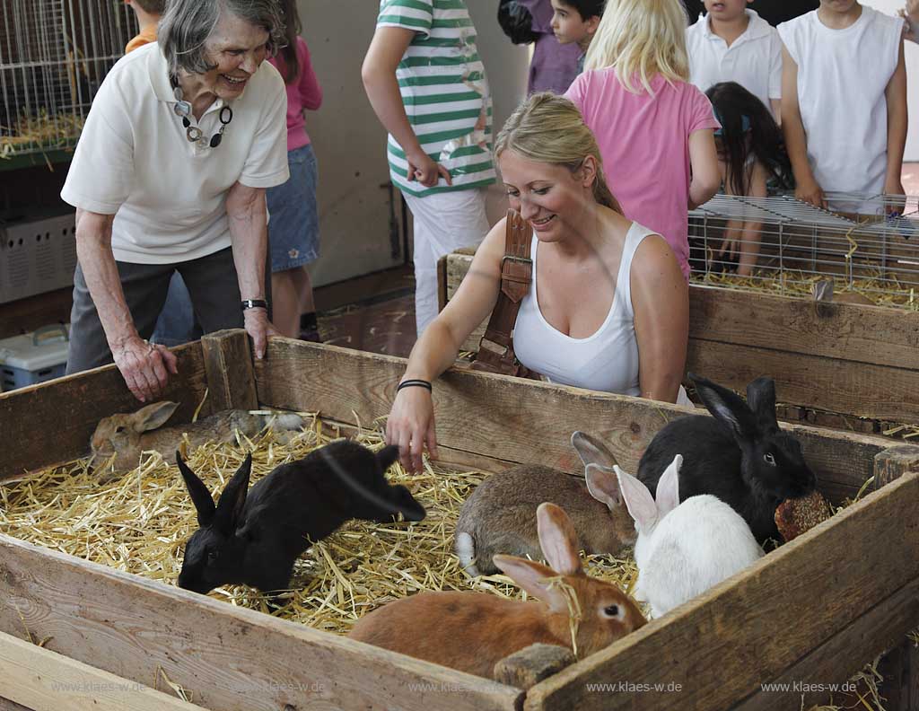 Waldbroel, Groesster, traditioneller Vieh und Krammmarkt Westdeutschlands, bestehend seid 1851, Markthalle mit Verkaufsboxen von Kaninchen und Hasen mit Publkum; biggest traditonally cattle market of west germany since 1851, market hall with boxes of bunnies and rabbits