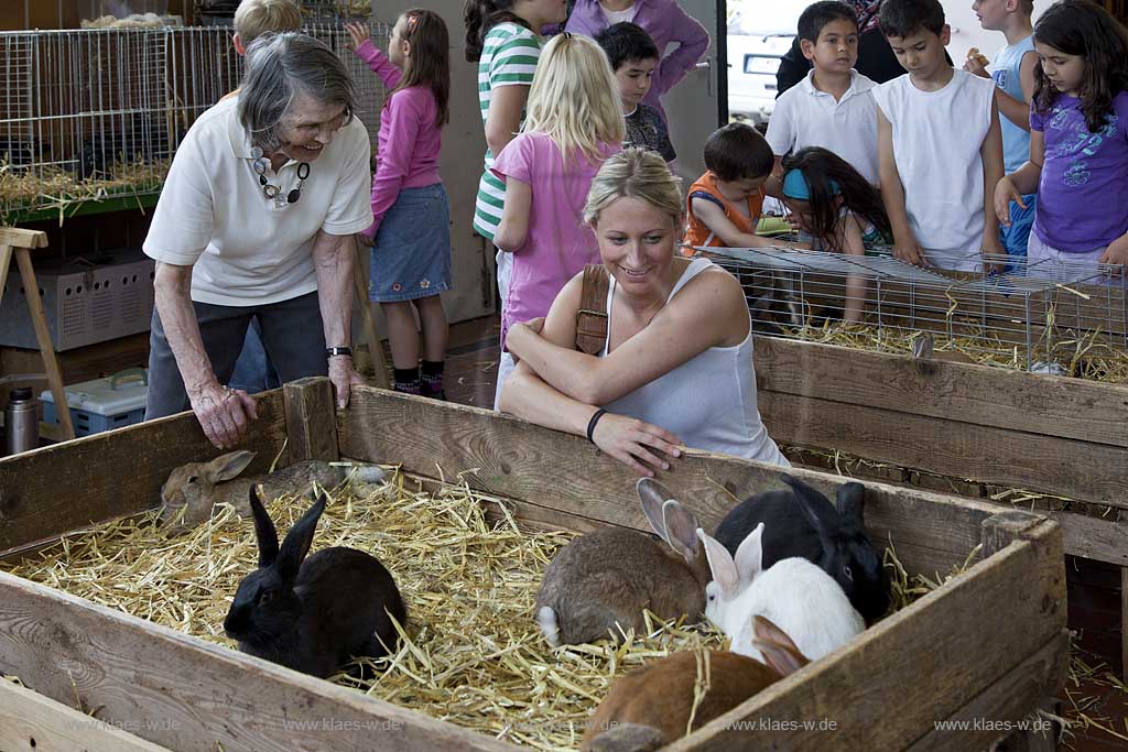 Waldbroel, Groesster, traditioneller Vieh und Krammmarkt Westdeutschlands, bestehend seid 1851, Markthalle mit Verkaufsboxen von Kaninchen und Hasen mit Publkum; biggest traditonally cattle market of west germany since 1851, market hall with boxes of bunnies and rabbits