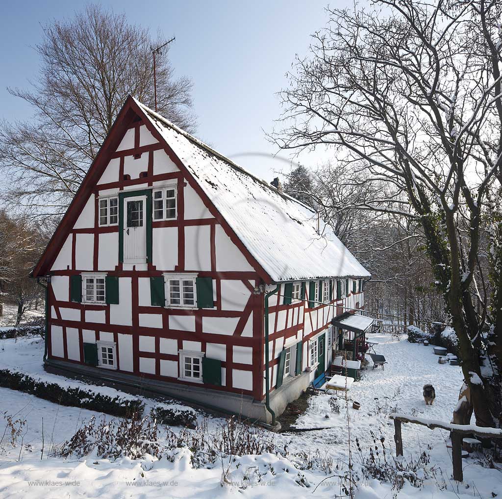 Waldbroel Drinhaus historisches Fachwerk Bauernhaus im Winter verschneit mit rotbraunem Fachwerk; historical half timbered house in Waldbroel Drinhaus in winter snow covered