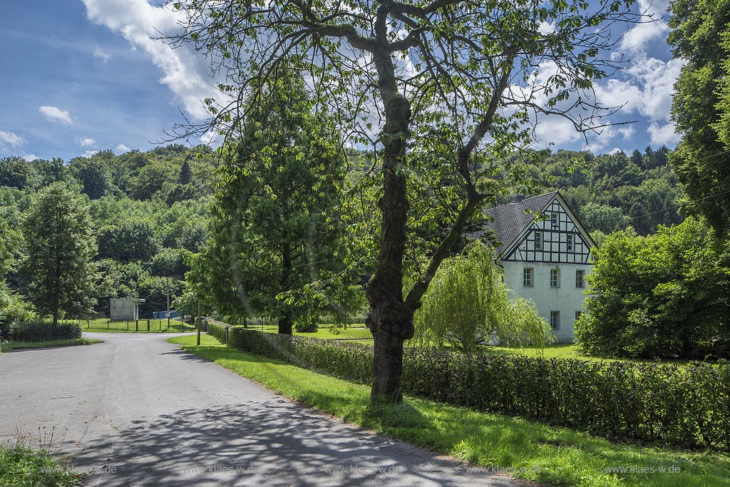 Wermelskirchen-Dabringhausen, Gutshaus der ehemlaigen Pulvermuehle des Fabrikanten Conrad Loosen nahe der Grossen Dhuenntalsperre bei Lindscheid. Es diente in den 1960er Jahren als Ausflugslokal und ist heute das Forsthaus des Wupperverbandes.