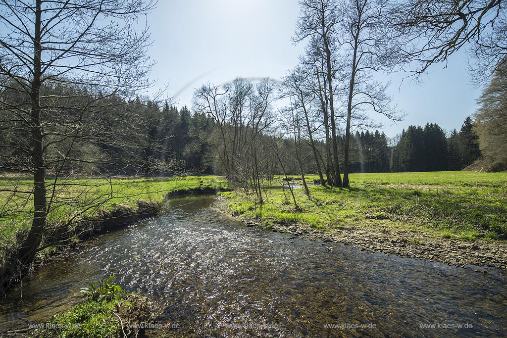 Wermelskirchen-Dabringhausen, Unteres Eifgental, Eifgenbach im Gegenlicht; Wermelskirchen-Dabringhausen beck Eifgenbach in back light.