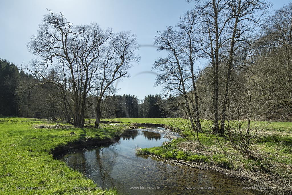 Wermelskirchen-Dabringhausen, Unteres Eifgental, Eifgenbach im Gegenlicht; Wermelskirchen-Dabringhausen beck Eifgenbach in back light.