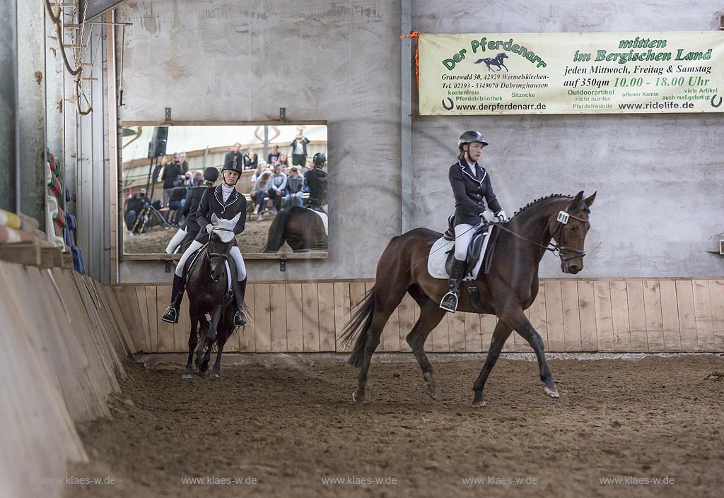 Wermelskirchen-Eipringhausen, Reiterhof Jaeger, Haflinger Reiterfest des  Sportverein Haflinger-Freunde Rheinland e.V. - Warmblueter auf dem Haflinger-Reiterfest.
