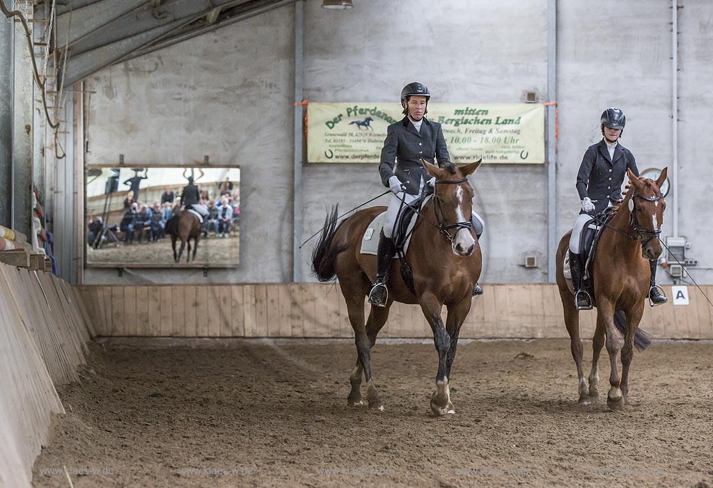 Wermelskirchen-Eipringhausen, Reiterhof Jaeger, Haflinger Reiterfest des  Sportverein Haflinger-Freunde Rheinland e.V. - Warmblueter auf dem Haflinger-Reiterfest.