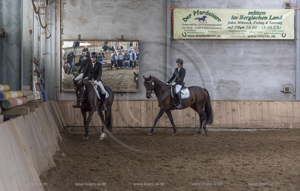 Wermelskirchen-Eipringhausen, Reiterhof Jaeger, Haflinger Reiterfest des  Sportverein Haflinger-Freunde Rheinland e.V. - Warmblueter auf dem Haflinger-Reiterfest.