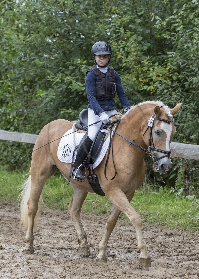 Wermelskirchen-Eipringhausen, Reiterhof Jaeger, Haflinger Reiterfest des  Sportverein Haflinger-Freunde Rheinland e.V.