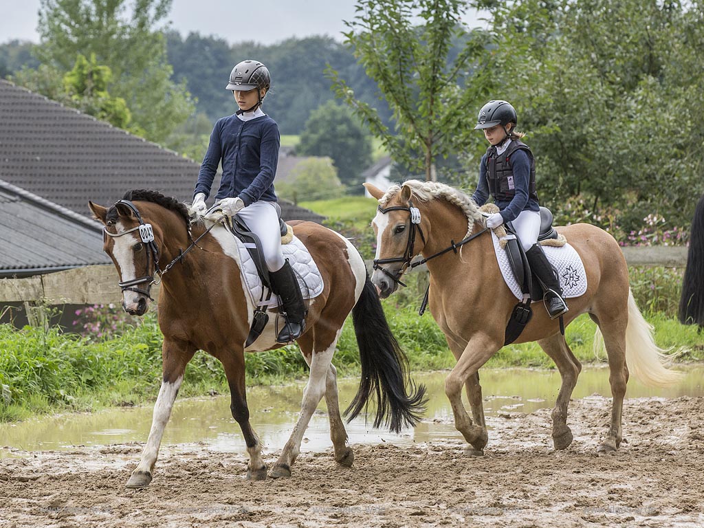 Wermelskirchen-Eipringhausen, Reiterhof Jaeger, Haflinger Reiterfest des  Sportverein Haflinger-Freunde Rheinland e.V.