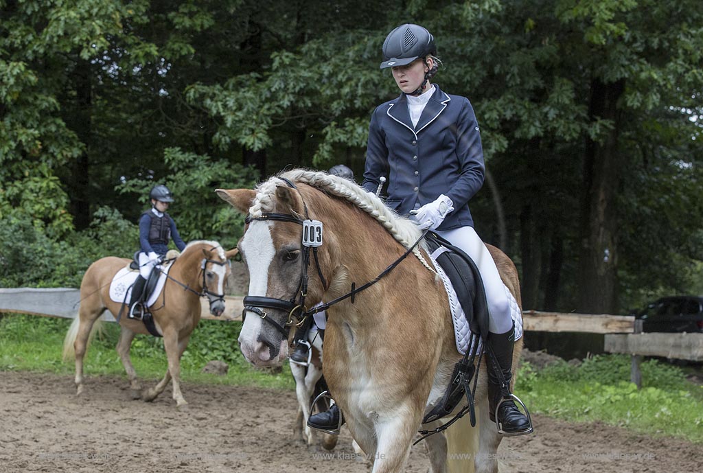 Wermelskirchen-Eipringhausen, Reiterhof Jaeger, Haflinger Reiterfest des  Sportverein Haflinger-Freunde Rheinland e.V.