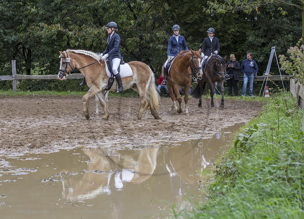 Wermelskirchen-Eipringhausen, Reiterhof Jaeger, Haflinger Reiterfest des  Sportverein Haflinger-Freunde Rheinland e.V.