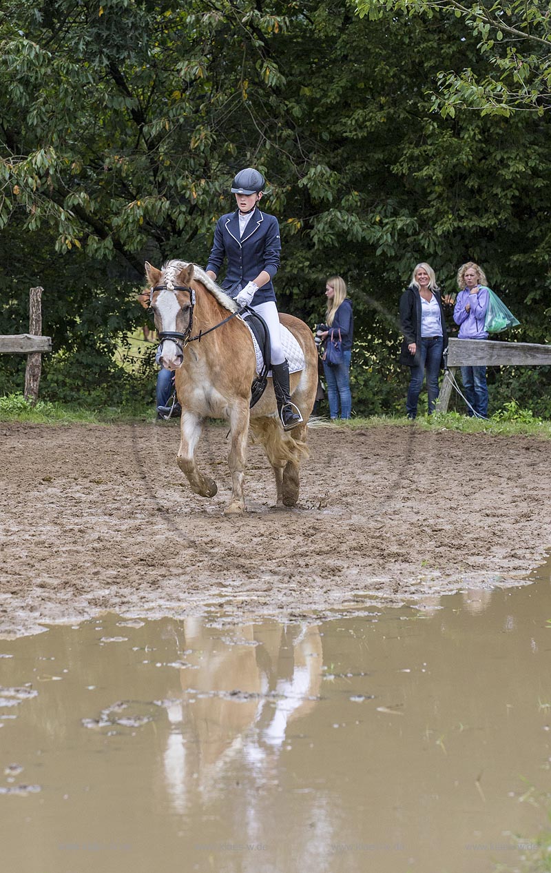 Wermelskirchen-Eipringhausen, Reiterhof Jaeger, Haflinger Reiterfest des  Sportverein Haflinger-Freunde Rheinland e.V.