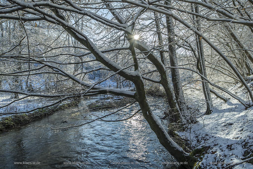 Wermelskirchen, unteres Eifgental, Eifgenbach in Winterlandschaft, Gegenlicht mit Sonnenstern, am Pilgerpfad zwischen Dabringhausen und Bechhausen an der Hilgener Strasse; Wermelskirchen, winter, snow covered landscape with beck Eifgenbach in back light with lens flare.