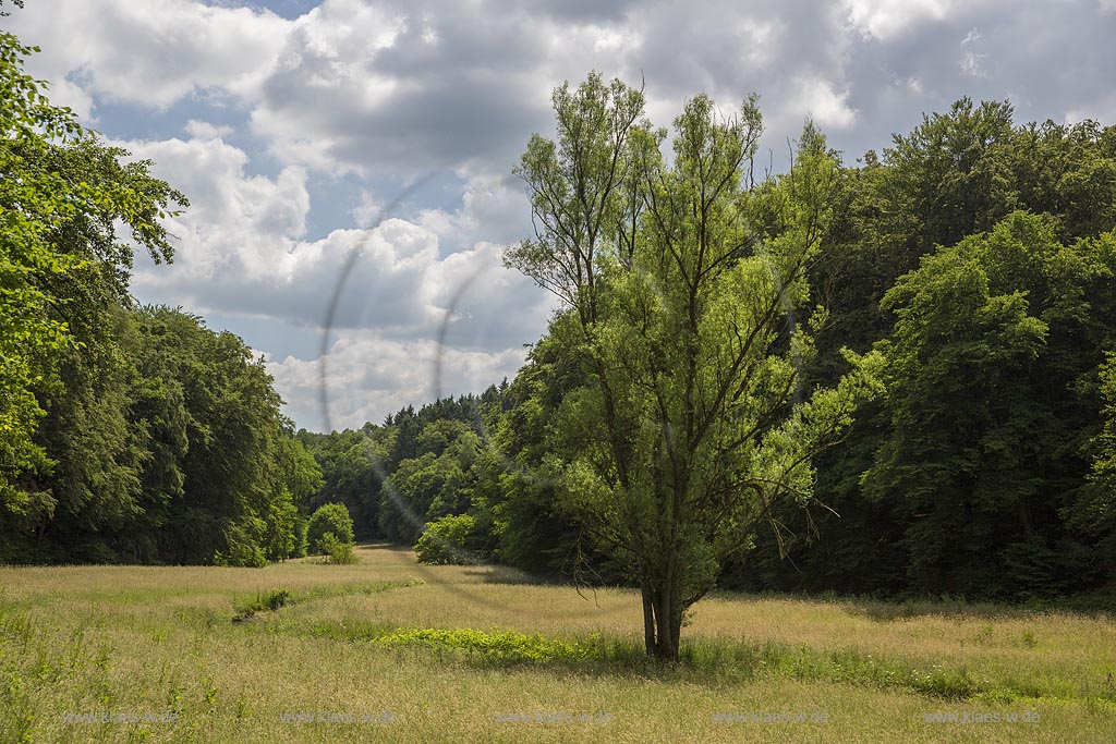 Wermelskirchen, Eifgental, Blick in das Eifgental im Sommer mit blauem Himmel und Wolken. Wermelskirchen, Eifgental, with a view to the Eifgendell in the summer with blue sky and clouds.