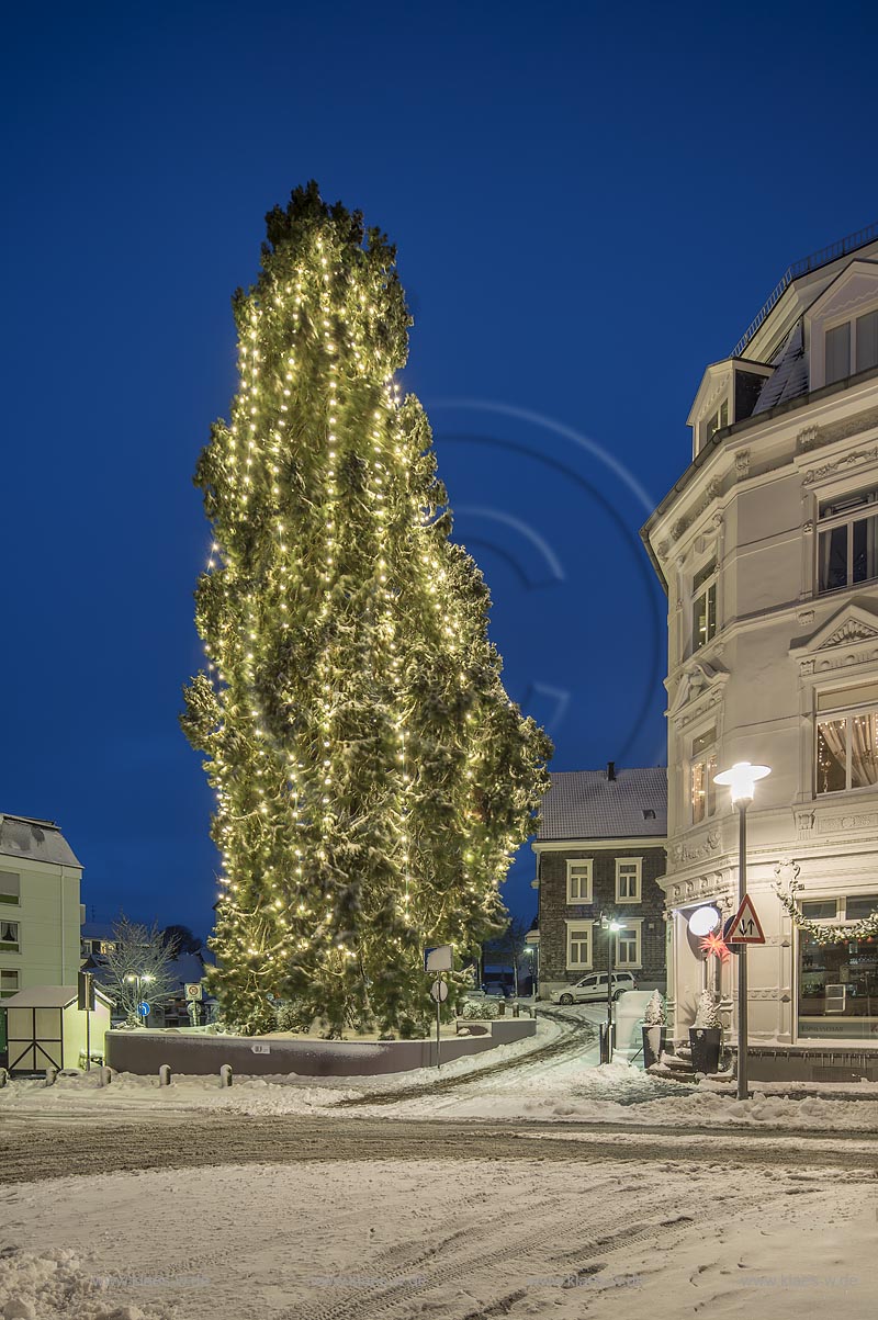 Wermelskirchen, Weihnachten, Blick auf den hoechsten lebenden Weihnachtsbaum in Deutschland zur blauen Stunde; Wermelskirchen, Christmas time, view onto the highest living Christmas tree in Germany during blue hour.