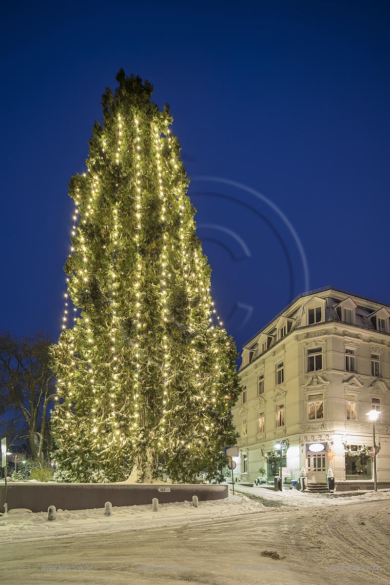 Wermelskirchen, Weihnachten, Blick auf den hoechsten lebenden Weihnachtsbaum in Deutschland zur blauen Stunde; Wermelskirchen, Christmas time, view onto the highest living Christmas tree in Germany during blue hour.