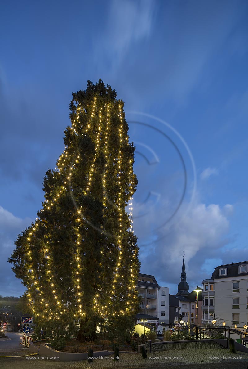 Wermelskirchen, Weihnachten, Blick auf den hoechsten lebenden Weihnachtsbaum in Deutschland zur blauen Stunde; Wermelskirchen, Christmas time, view onto the highest living Christmas tree in Germanyduring blue hour.