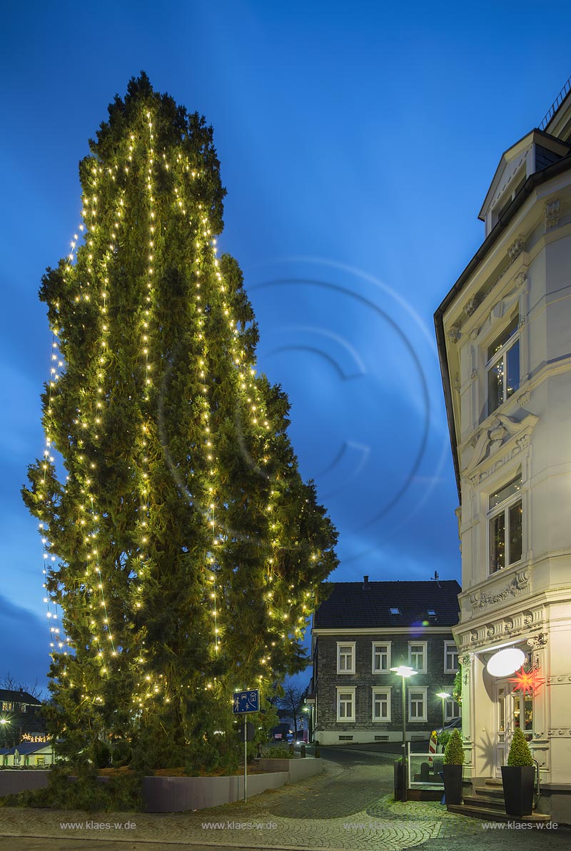 Wermelskirchen, Weihnachten, Blick auf den hoechsten lebenden Weihnachtsbaum in Deutschland zur blauen Stunde; Wermelskirchen, Christmas time, view onto the highest living Christmas tree in Germanyduring blue hour.