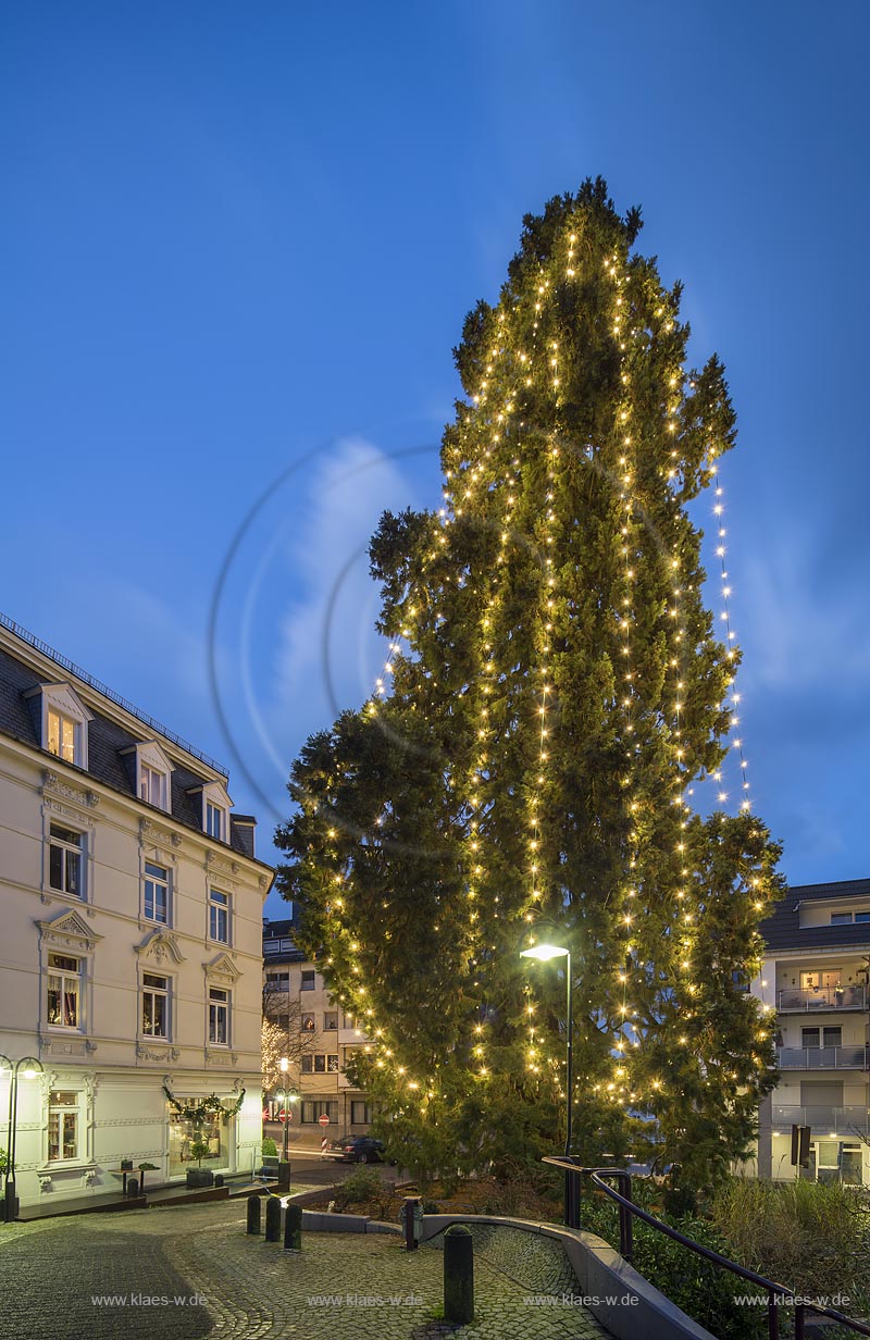 Wermelskirchen, Weihnachten, Blick auf den hoechsten lebenden Weihnachtsbaum in Deutschland zur blauen Stunde; Wermelskirchen, Christmas time, view onto the highest living Christmas tree in Germanyduring blue hour.