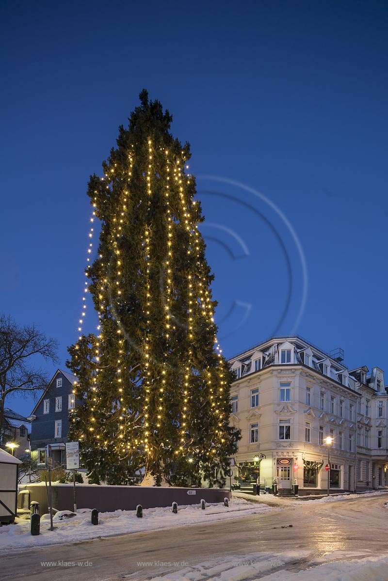 Wermelskirchen, Weihnachten, Blick auf den hoechsten lebenden Weihnachtsbaum in Deutschland zur blauen Stunde; Wermelskirchen, Christmas time, view onto the highest living Christmas tree in Germanyduring blue hour.