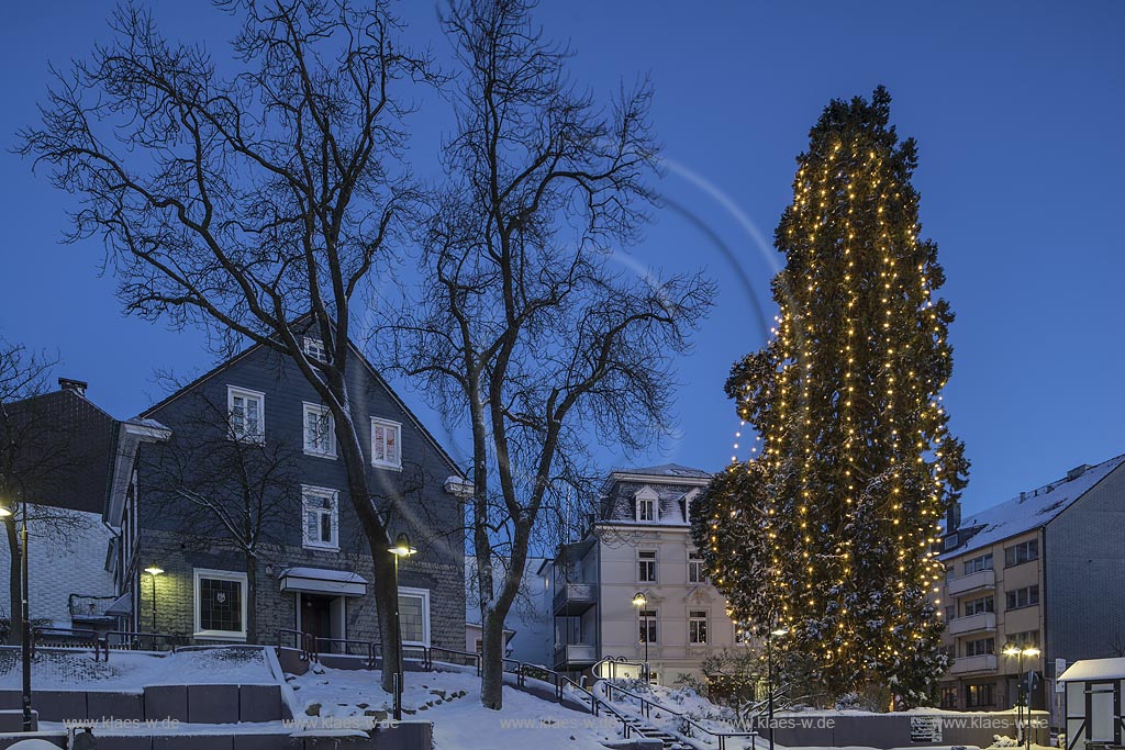 Wermelskirchen, Weihnachten, Blick auf den hoechsten lebenden Weihnachtsbaum in Deutschland zur blauen Stunde; Wermelskirchen, Christmas time, view onto the highest living Christmas tree in Germanyduring blue hour.