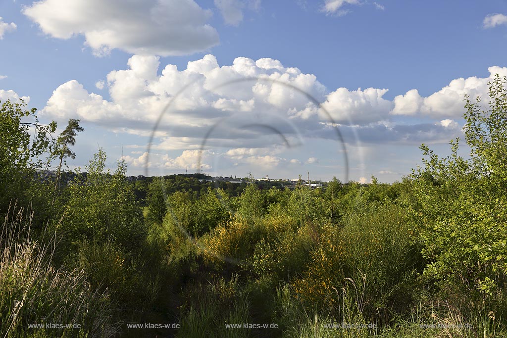 Wermelskirchen, Waldgebiet "Hohe Mark", Blick vom Rundwanderweg A1 Richtung Rmescheid in Fruehlingslandschaft, Fruehsommerlandschaft mit stimmungsvollen Quellwolken, Kumuluswolken; Wermelskirchen, view from the hiking path "Hohe Mark" in landscape with atmospheric impressive cumulus clouds.