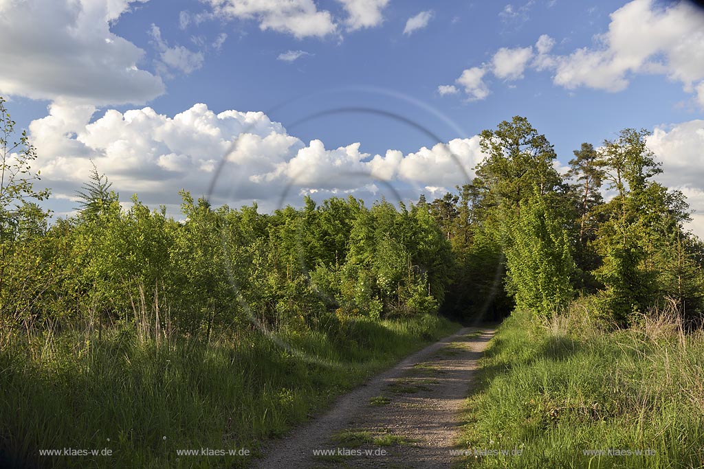 Wermelskirchen, Waldgebiet "Hohe Mark", Blick vom Rundwanderweg A1 Richtung Rmescheid in Fruehlingslandschaft, Fruehsommerlandschaft mit stimmungsvollen Quellwolken, Kumuluswolken; Wermelskirchen, view from the hiking path "Hohe Mark" in landscape with atmospheric impressive cumulus clouds.