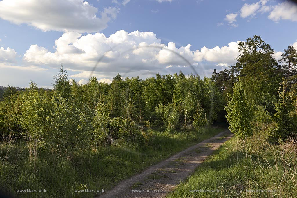 Wermelskirchen, Waldgebiet "Hohe Mark", Blick vom Rundwanderweg A1 Richtung Rmescheid in Fruehlingslandschaft, Fruehsommerlandschaft mit stimmungsvollen Quellwolken, Kumuluswolken; Wermelskirchen, view from the hiking path "Hohe Mark" in landscape with atmospheric impressive cumulus clouds.