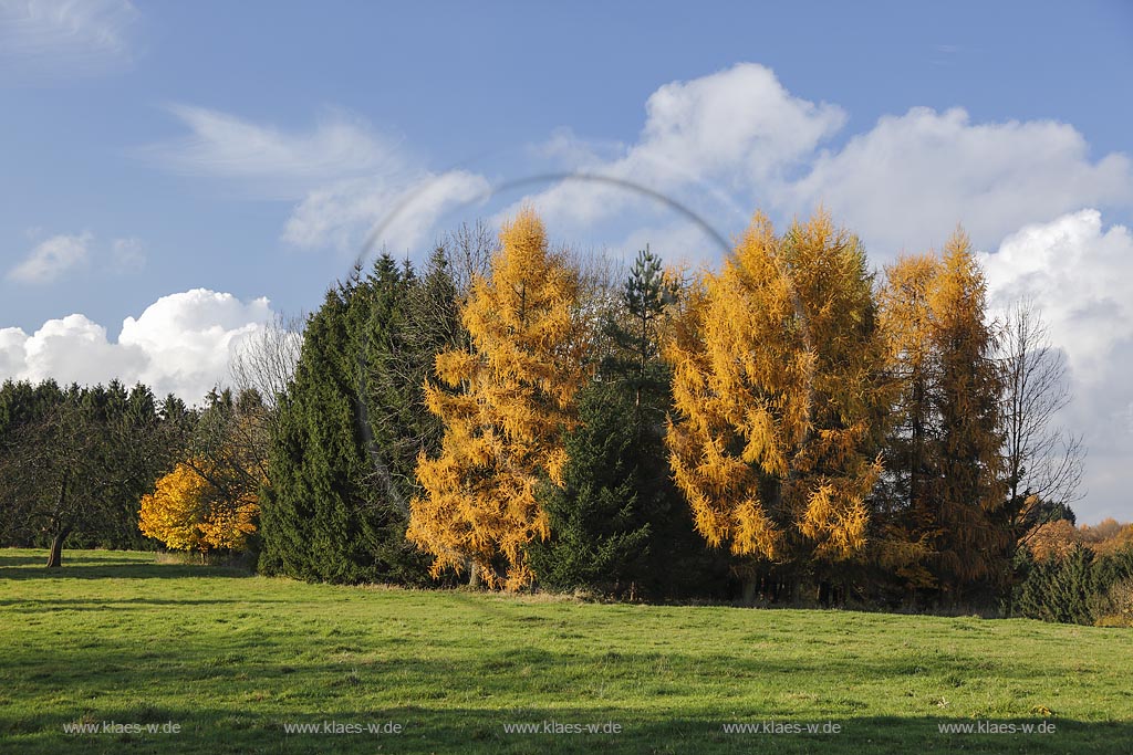 Wermelskirchen-Oberwinkelhausen, Blick in die Herbstlandschaft; Wermelskirchen-Oberwinkelhausen, view to the landscape in autumn.