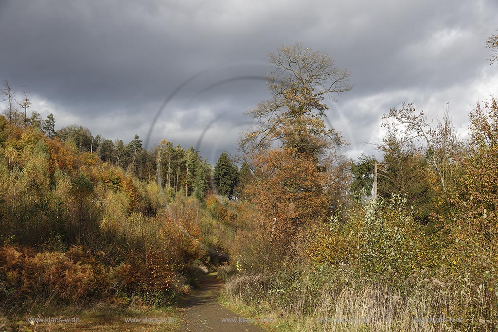 Wermelskirchen, Rundwanderweg "Hohe Mark" im Herbst; Wermelskirchen, Circular route "Hohe Mark" in autumn.