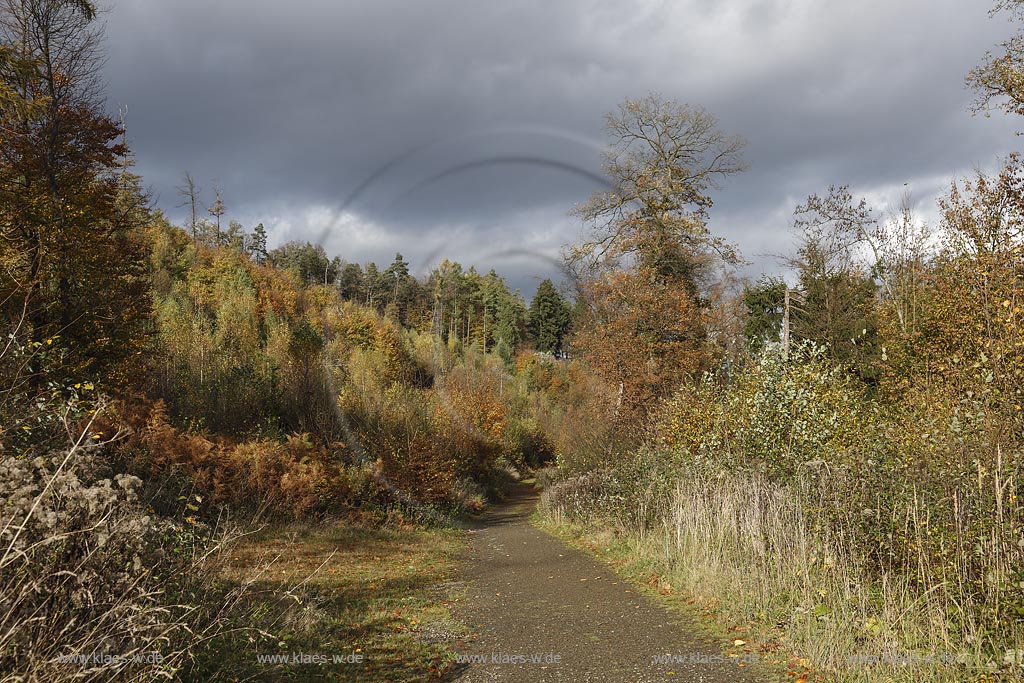 Wermelskirchen, Rundwanderweg "Hohe Mark" im Herbst; Wermelskirchen, Circular route "Hohe Mark" in autumn.