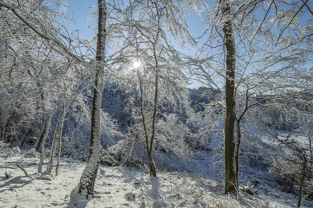 Wermelskirchen, Winterlandschaft, Gegenlicht mit Sonnenstern,  zwischen Dabringhausen und Bechhausen an der Hilgener Strasse, unteres Eifgental; Wermelskirchen, winter, snow covered landscape in back light with lens flare near Dabringhausen in Eifgen valley.