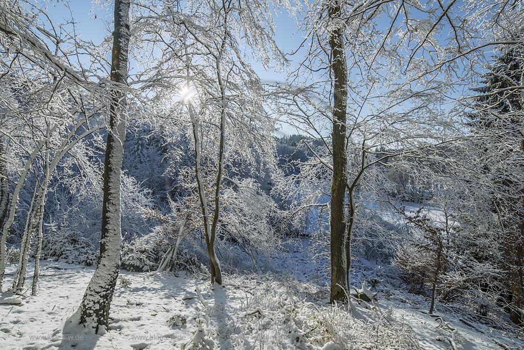 Wermelskirchen, Winterlandschaft, Gegenlicht mit Sonnenstern,  zwischen Dabringhausen und Bechhausen an der Hilgener Strasse, unteres Eifgental; Wermelskirchen, winter, snow covered landscape in back light with lens flare near Dabringhausen in Eifgen valley.