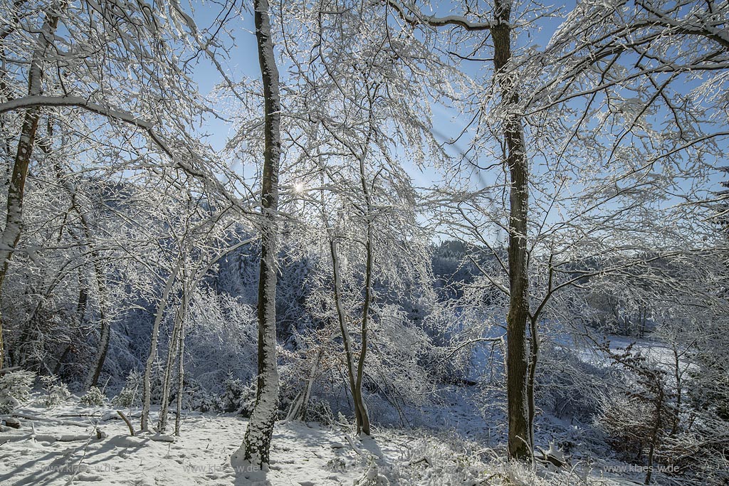 Wermelskirchen, Winterlandschaft, Gegenlicht mit Sonnenstern,  zwischen Dabringhausen und Bechhausen an der Hilgener Strasse, unteres Eifgental; Wermelskirchen, winter, snow covered landscape in back light with lens flare near Dabringhausen in Eifgen valley.