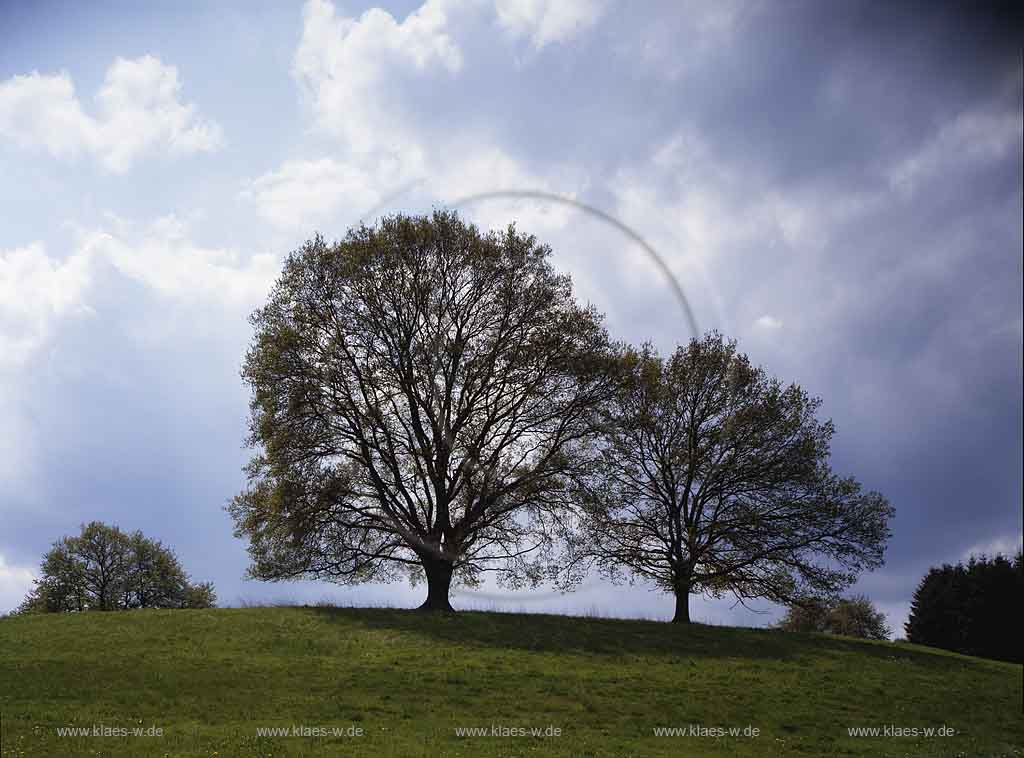 Brchermhle, Bruechermuehle, Wiehl, Oberbergischer Kreis, Bergisches Land, Regierungsbezirk Kln, Blick auf Fruehsommerlandschaft, Frhsommerlandschaft, Landschaft