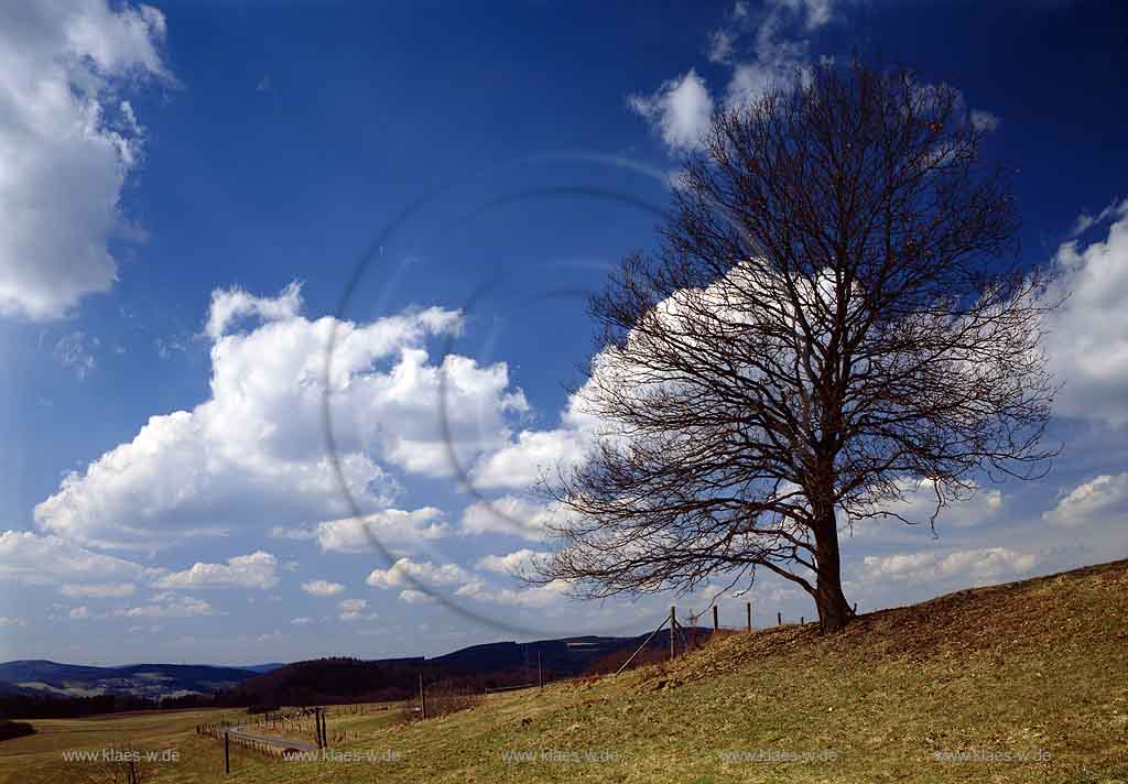 Marienhagen, Wiehl, Oberbergischer Kreis, Bergisches Land, Regierungsbezirk Kln, Blick auf Landschaft im Vorfrhling, Vorfruehling, Frhling, Fruehling