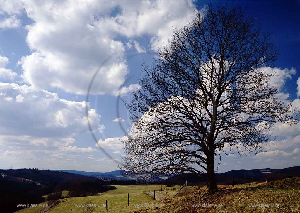 Marienhagen, Wiehl, Oberbergischer Kreis, Bergisches Land, Regierungsbezirk Kln, Blick auf Landschaft im Vorfrhling, Vorfruehling, Frhling, Fruehling