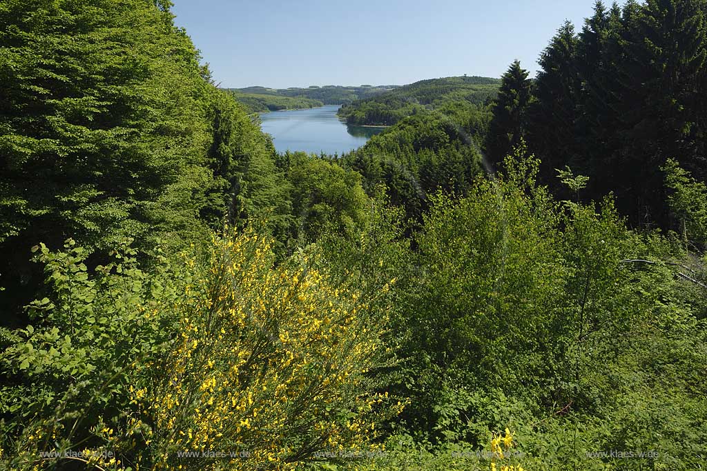 Blick ueber Baeume auf die Wiehltalsperre; view over trees on to the barrage fixe of Wiehl