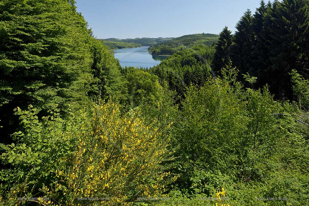 Blick ueber Baeume auf die Wiehltalsperre; view over trees on to the barrage fixe of Wiehl