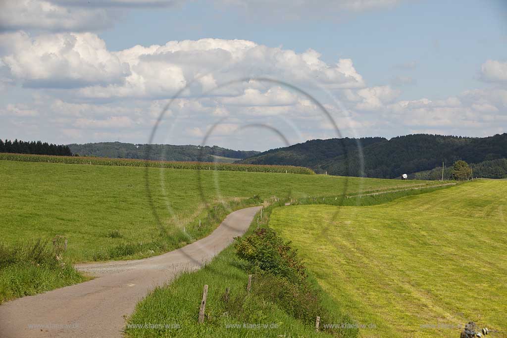 Wipperfuerth Forst Hoehe, schmale unbefahrene Strasse  durch Landschaft mit Weiden, Wiesen in Sommerlandschaft mit Kumuluswolken; Wipperfuerth small road in landscape with grassland in summer landscape with cumulus clouds, hikers on the street