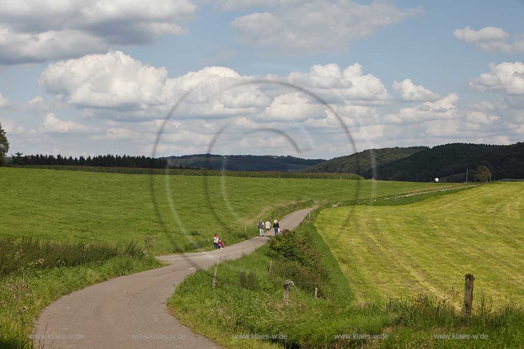 Wipperfuerth Forst Hoehe, schmale unbefahrene Strasse  durch Landschaft mit Weiden, Wiesen, Fussgaengern in Sommerlandschaft mit Kumuluswolken; Wipperfuerth small road in landscape with grassland in summer landscape with cumulus clouds, hikers on the street