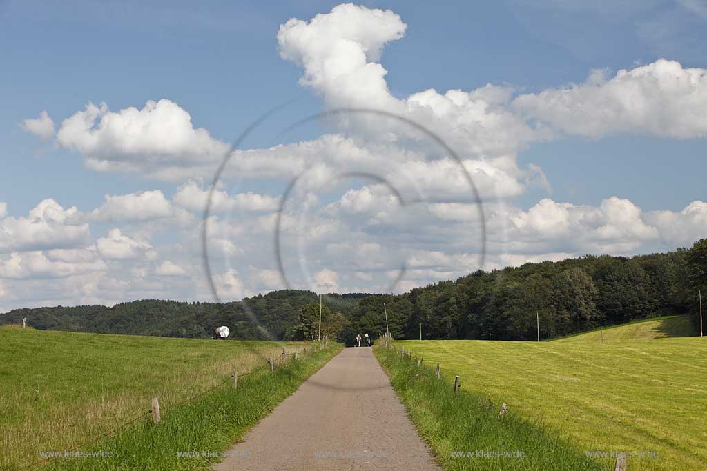 Wipperfuerth Forst Hoehe, schmale unbefahrene Strasse  durch Landschaft mit Weiden, Wiesen, Fussgaengern in Sommerlandschaft mit Kumuluswolken; Wipperfuerth small road in landscape with grassland in summer landscape with cumulus clouds, hikers on the street