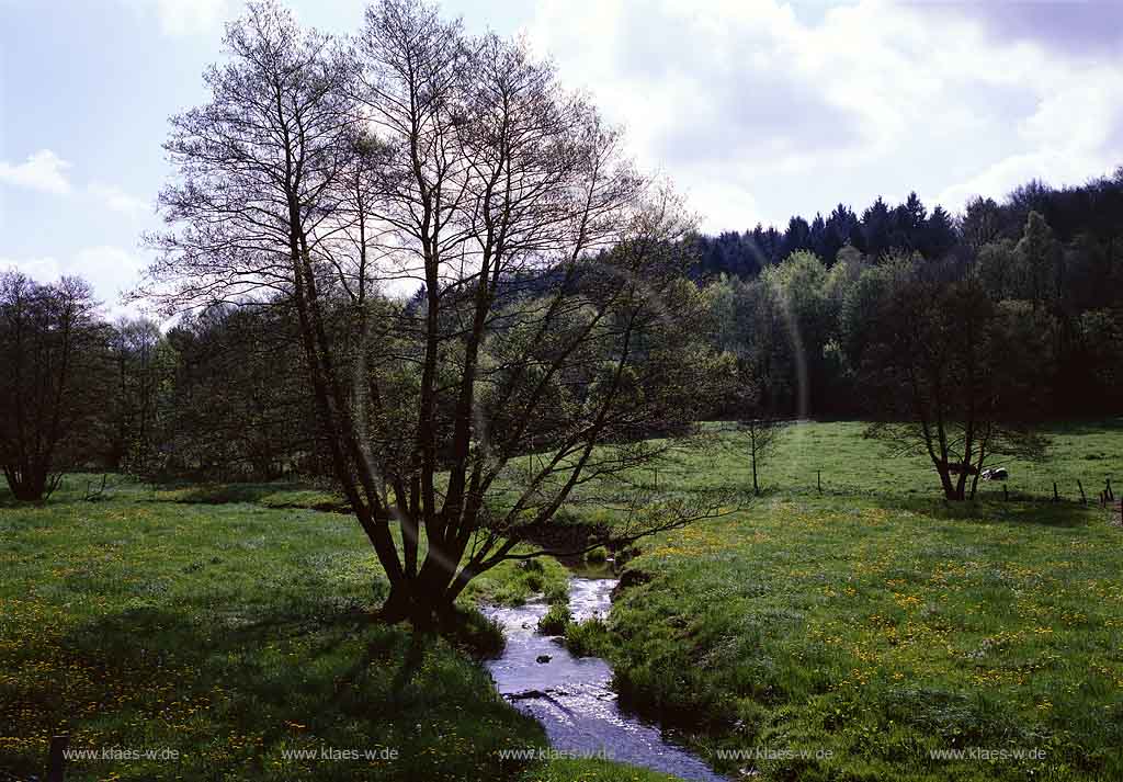 Harhausen, Wipperfrth, Wipperfuerth, Oberbergischer Kreis, Bergisches Land, Regierungsbezirk Kln, Blick auf  Hoenniegelauf, Hnnigelauf und Landschaft im Frhling, Fruehling 