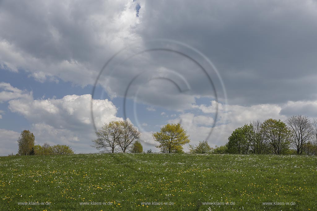 Wipperfuerth Hueffen,  Fruehlingslandschaft mit Wiesen und Baeumen ; Wipperfuerth Hueffen view onto a landscape with trees and greenfields