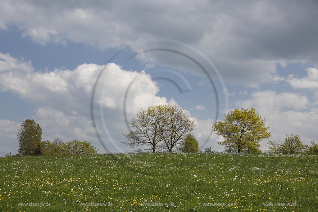 Wipperfuerth Hueffen,  Fruehlingslandschaft mit Wiesen und Baeumen ; Wipperfuerth Hueffen view onto a landscape with trees and greenfields