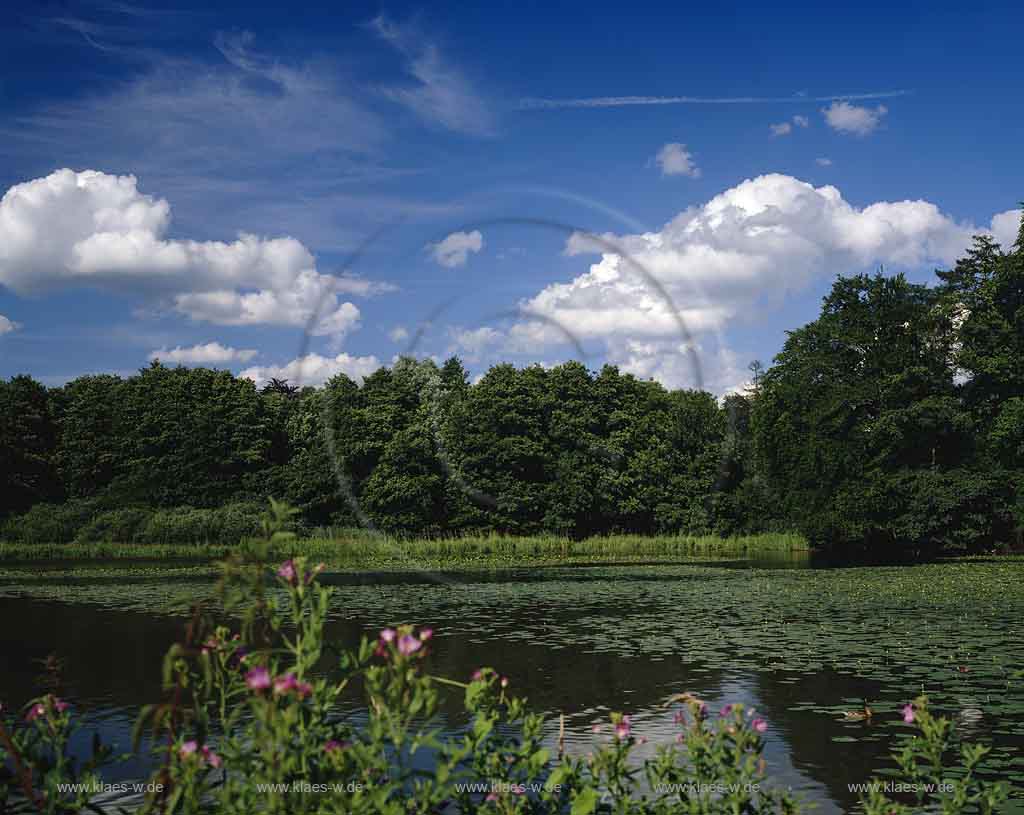 Aprath, Wuelfrath, Wlfrath, Kreis Mettmann, Blick am Muehlenteich, Mhlenteich im Sommer