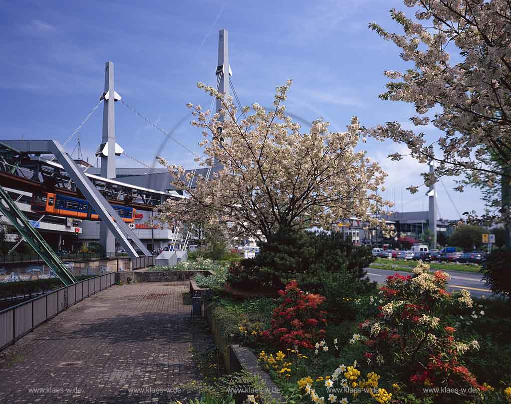 Barmen, Wuppertal, Regierungsbezirk Dsseldorf, Duesseldorf, Alter Markt, Blick auf Blumen und Pflanzenbeet in Frhlingsstimmung, Fruehlingsstimmung mit Blte, Bluete und Sicht zur Schwebebahn
