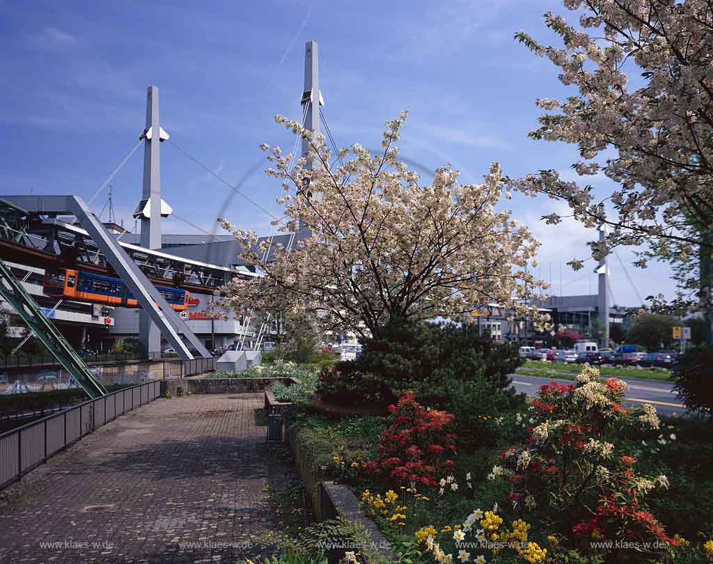 Barmen, Wuppertal, Regierungsbezirk Dsseldorf, Duesseldorf, Alter Markt, Blick auf Blumen und Pflanzenbeet in Frhlingsstimmung, Fruehlingsstimmung mit Blte, Bluete und Sicht zur Schwebebahn