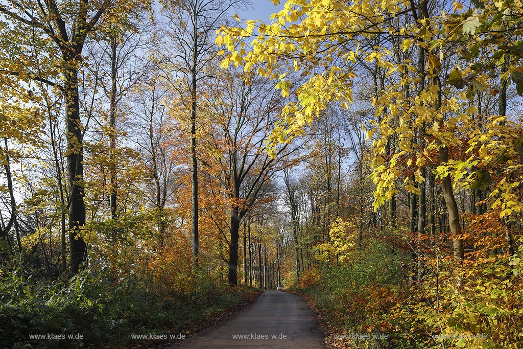 Wuppertal Elberfeld, Herbststimmung auf der Koenigshoehe; Wuppertal Elberfeld, autumn mood at the Koenigshoehe.