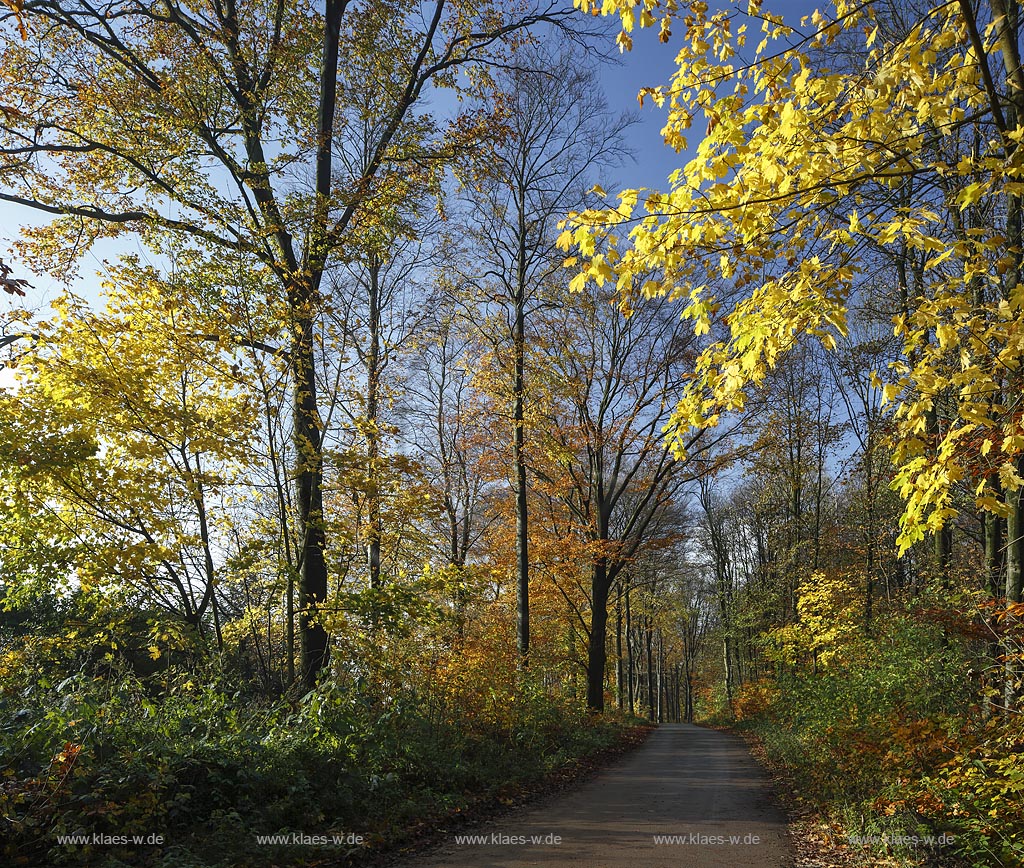 Wuppertal Elberfeld, Herbststimmung auf der Koenigshoehe; Wuppertal Elberfeld, autumn mood at the Koenigshoehe.