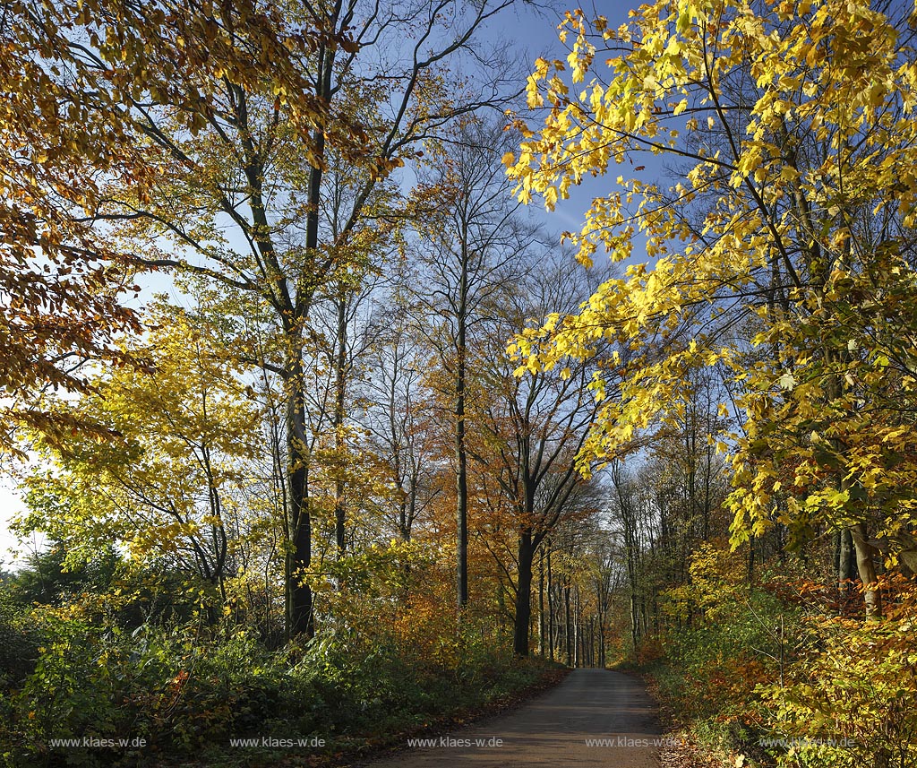 Wuppertal Elberfeld, Herbststimmung auf der Koenigshoehe; Wuppertal Elberfeld, autumn mood at the Koenigshoehe.